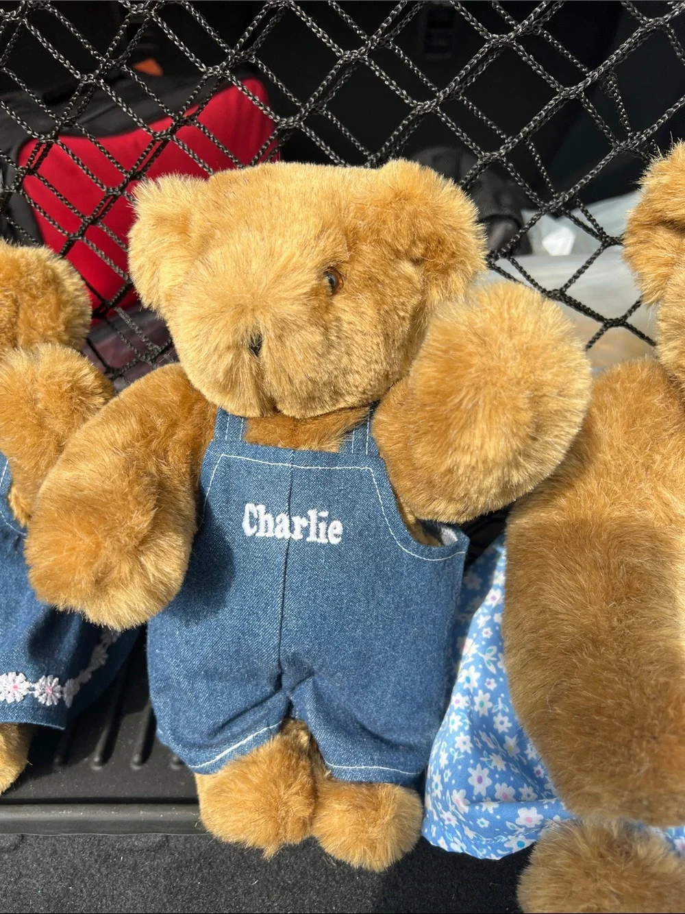 Personalized Brown Plush Teddy Bear Collection in Blue Outfits
